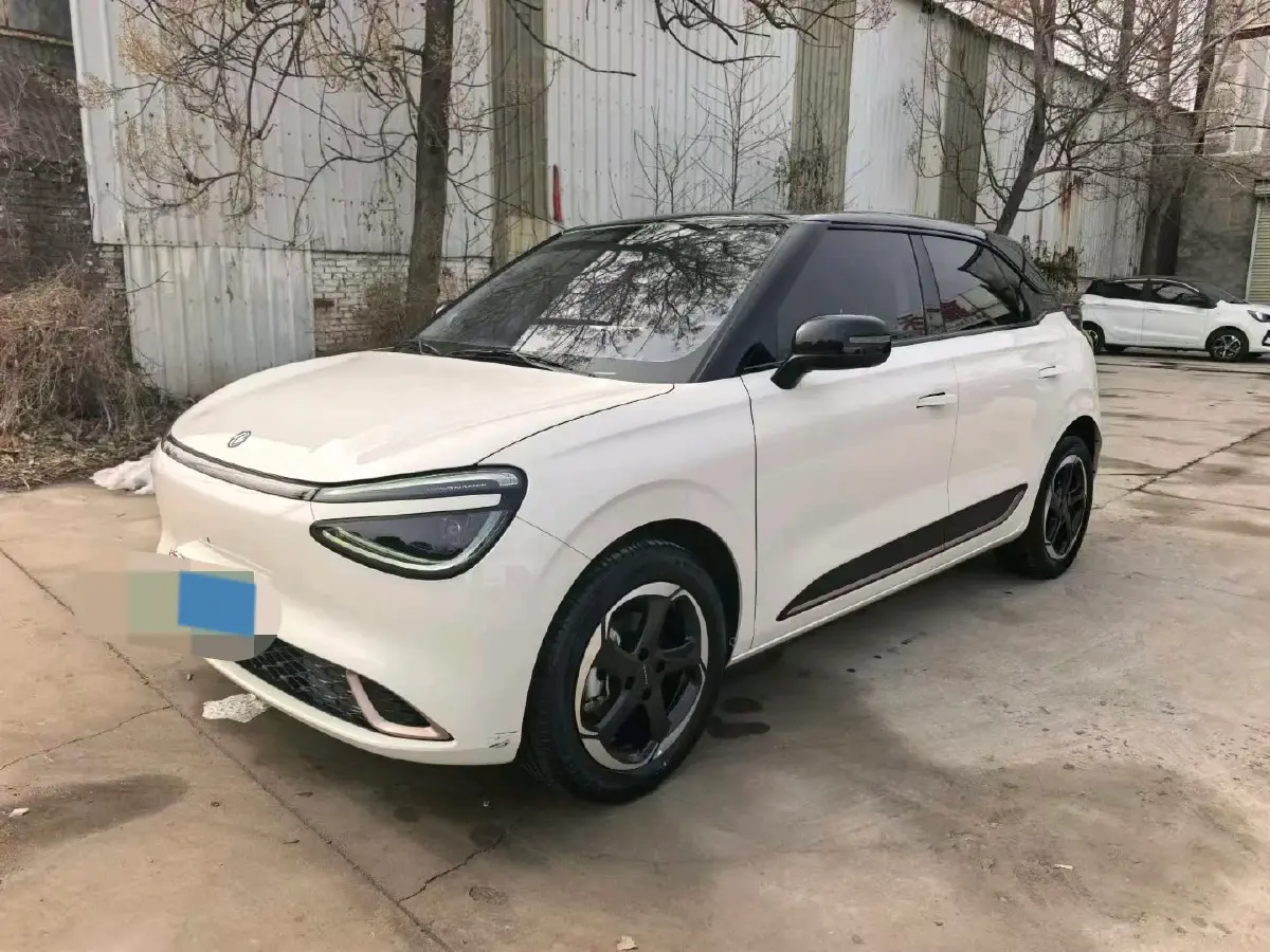 2024 DongFeng Nammi 01 BEV 42.3KWH