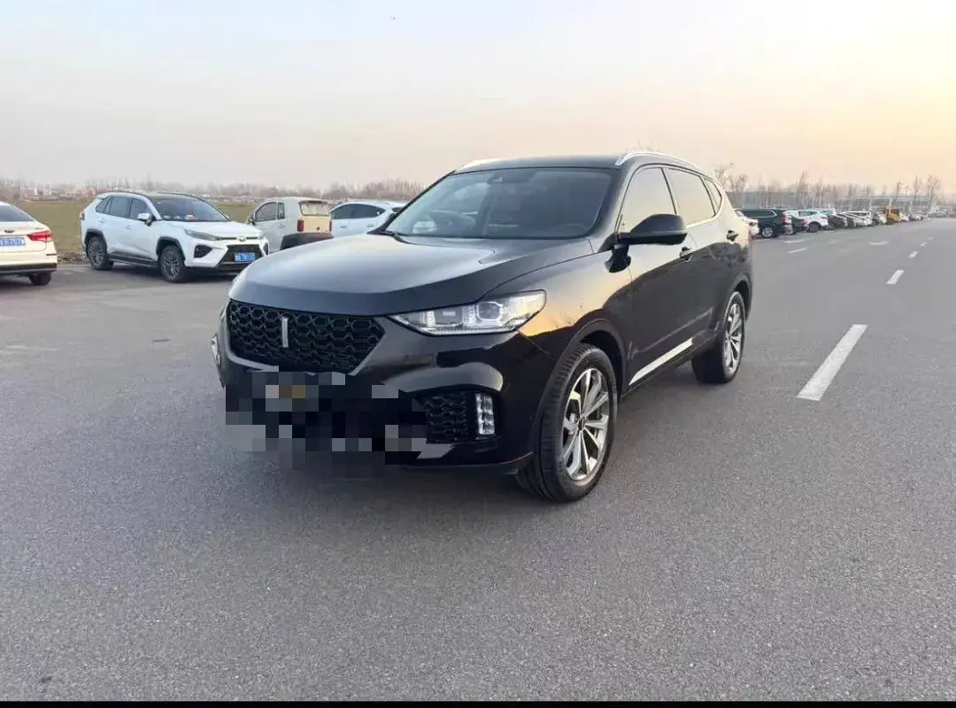 2020 WEY VV6 2.0T 227HP L4 7DCT