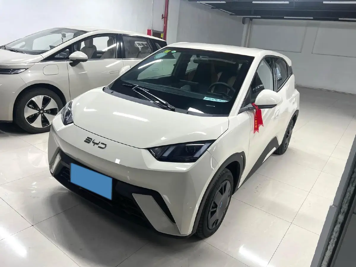 2024 BYD Seagull BEV 30.08KWH