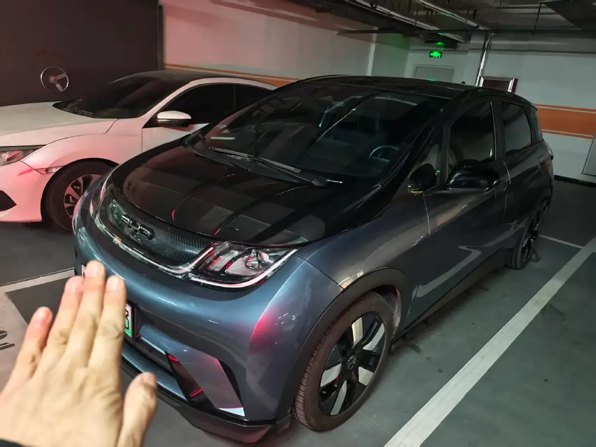 2023 BYD Dolphin BEV 44.928KWH