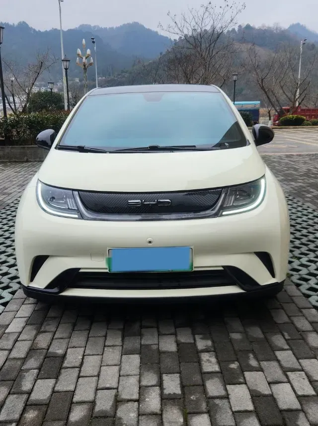 2021 BYD Yuan Pro BEV 50.1KWH,autocango,china used car exporter,china ev exporter,chinese used car exporter,chinese used ev exporter