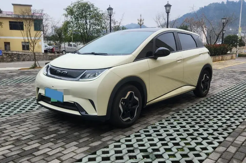 2021 BYD Yuan Pro BEV 50.1KWH