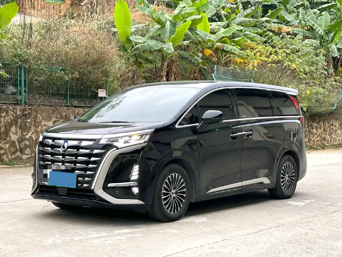 2024 Denza D9 1.5T 139HP L4 E-CVT PHEV 40KWH