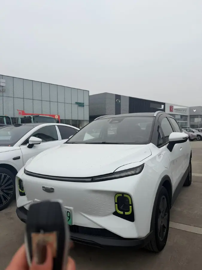 2022 Geometry E BEV 39.4KWH