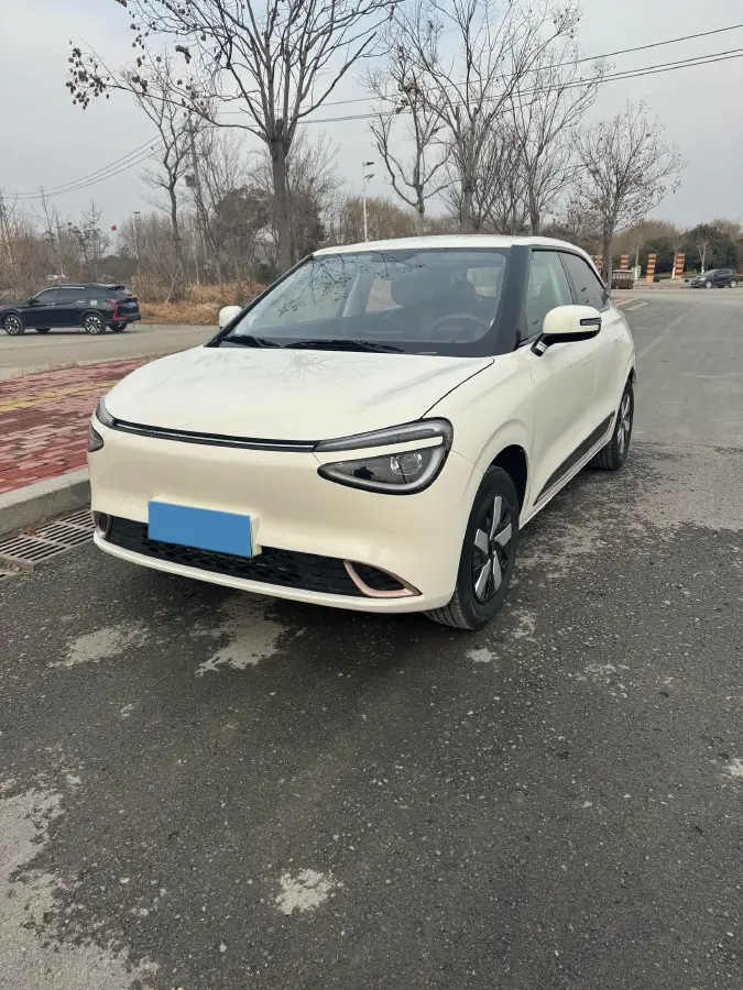 2025 DongFeng Nammi 01 BEV