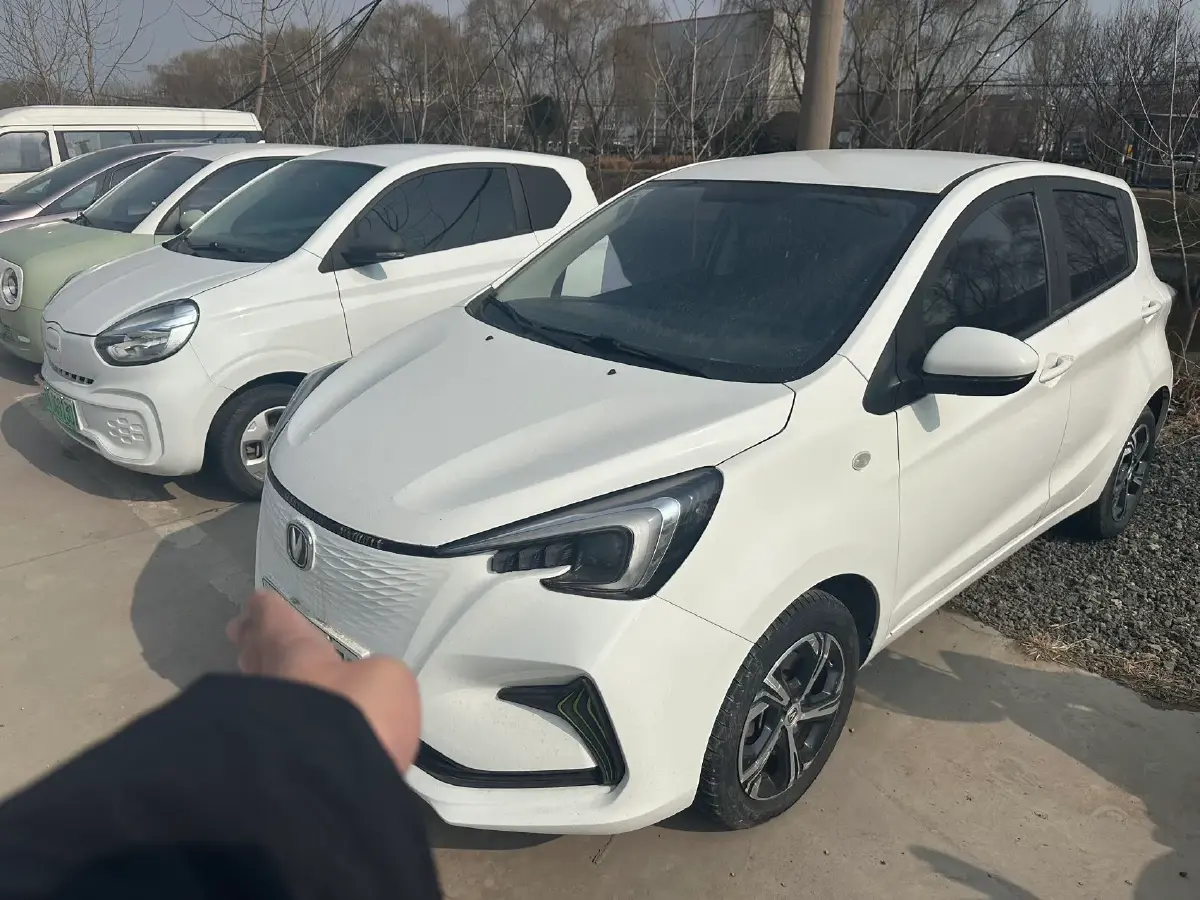 2020 ChangAn BenBen E-Star BEV 32.2KWH