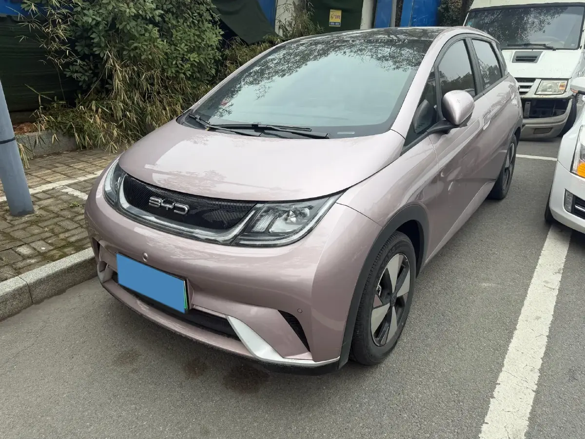 2023 BYD Dolphin BEV 44.928KWH