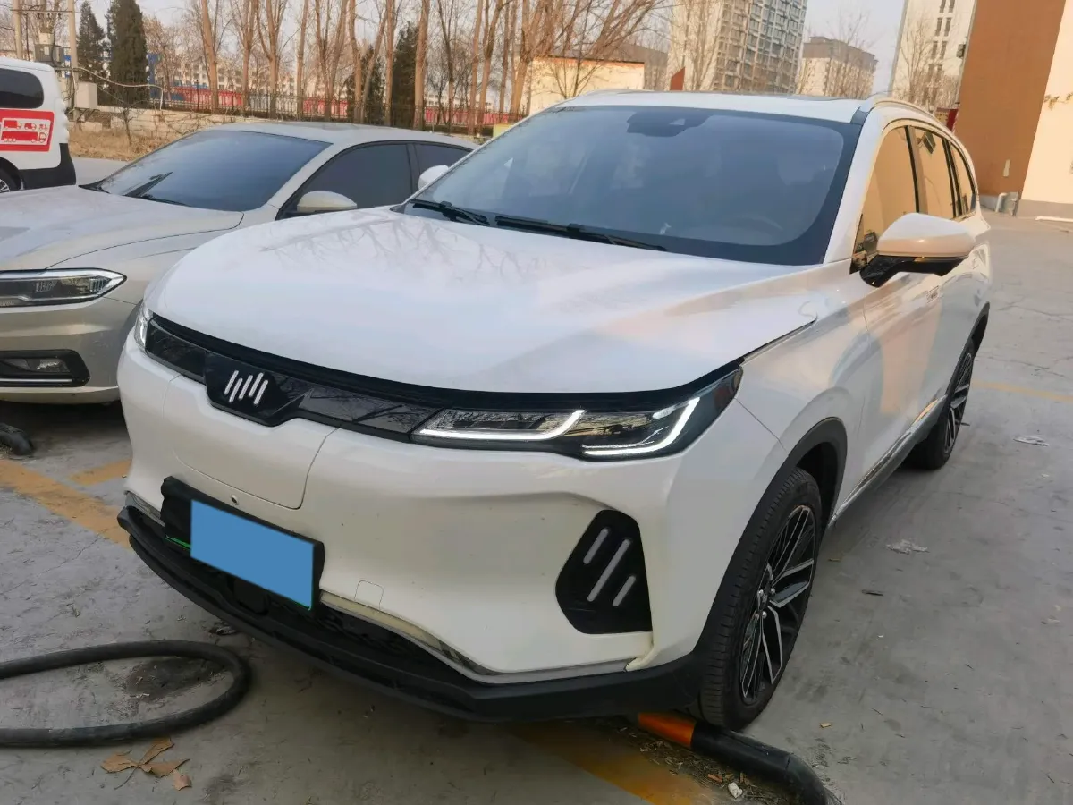 2020 Weltmeister EX6 BEV 69KWH,autocango,china used car exporter,china ev exporter,chinese used car exporter,chinese used ev exporter
