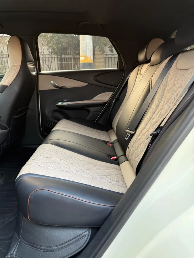 2021 BYD Yuan Pro BEV 50.1KWH,autocango,china used car exporter,china ev exporter,chinese used car exporter,chinese used ev exporter