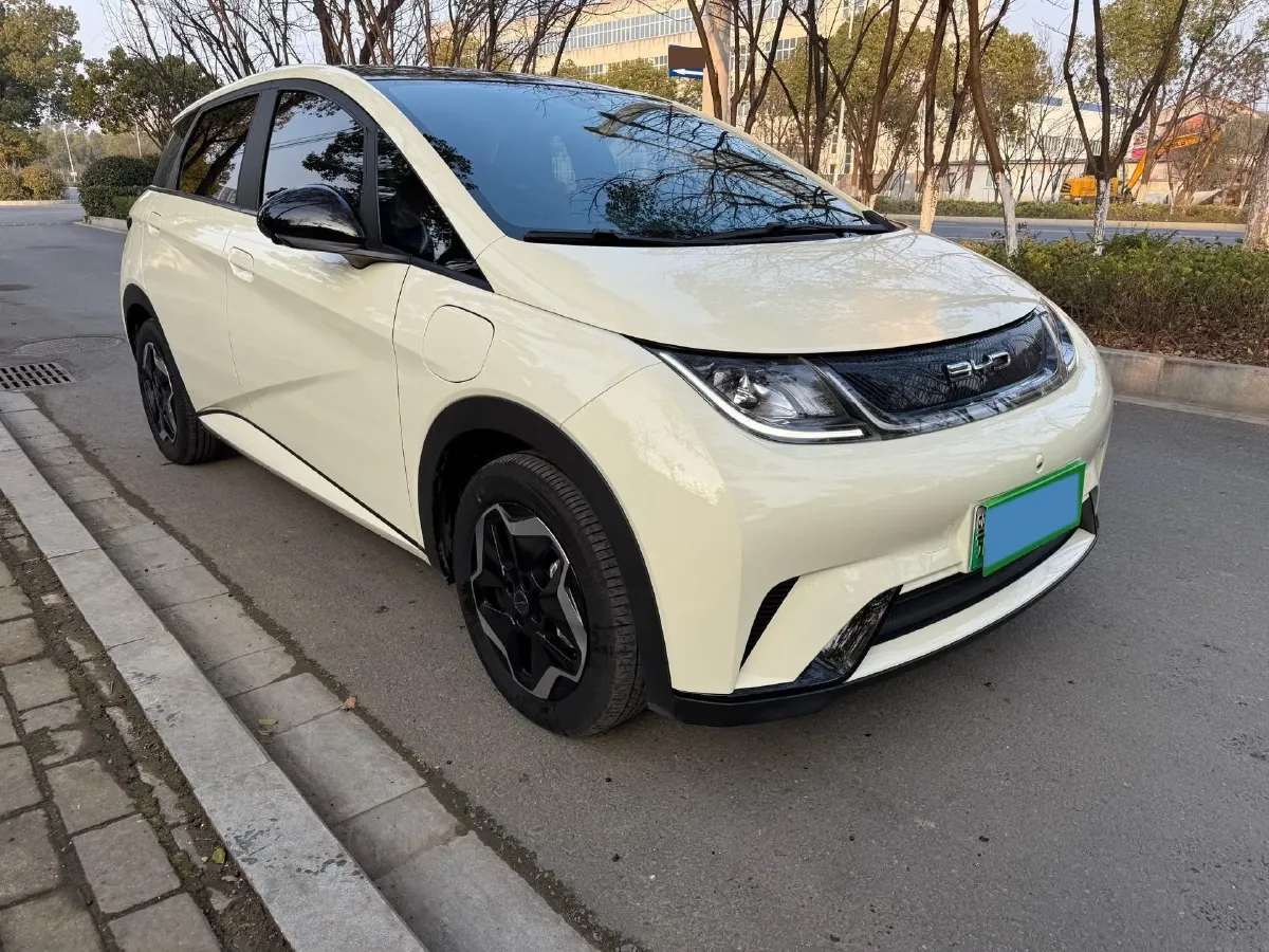 2021 BYD Yuan Pro BEV 50.1KWH,autocango,china used car exporter,china ev exporter,chinese used car exporter,chinese used ev exporter