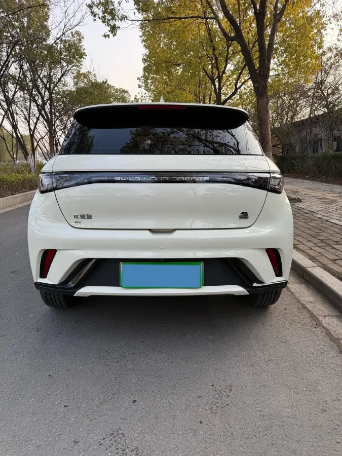 2021 BYD Yuan Pro BEV 50.1KWH,autocango,china used car exporter,china ev exporter,chinese used car exporter,chinese used ev exporter