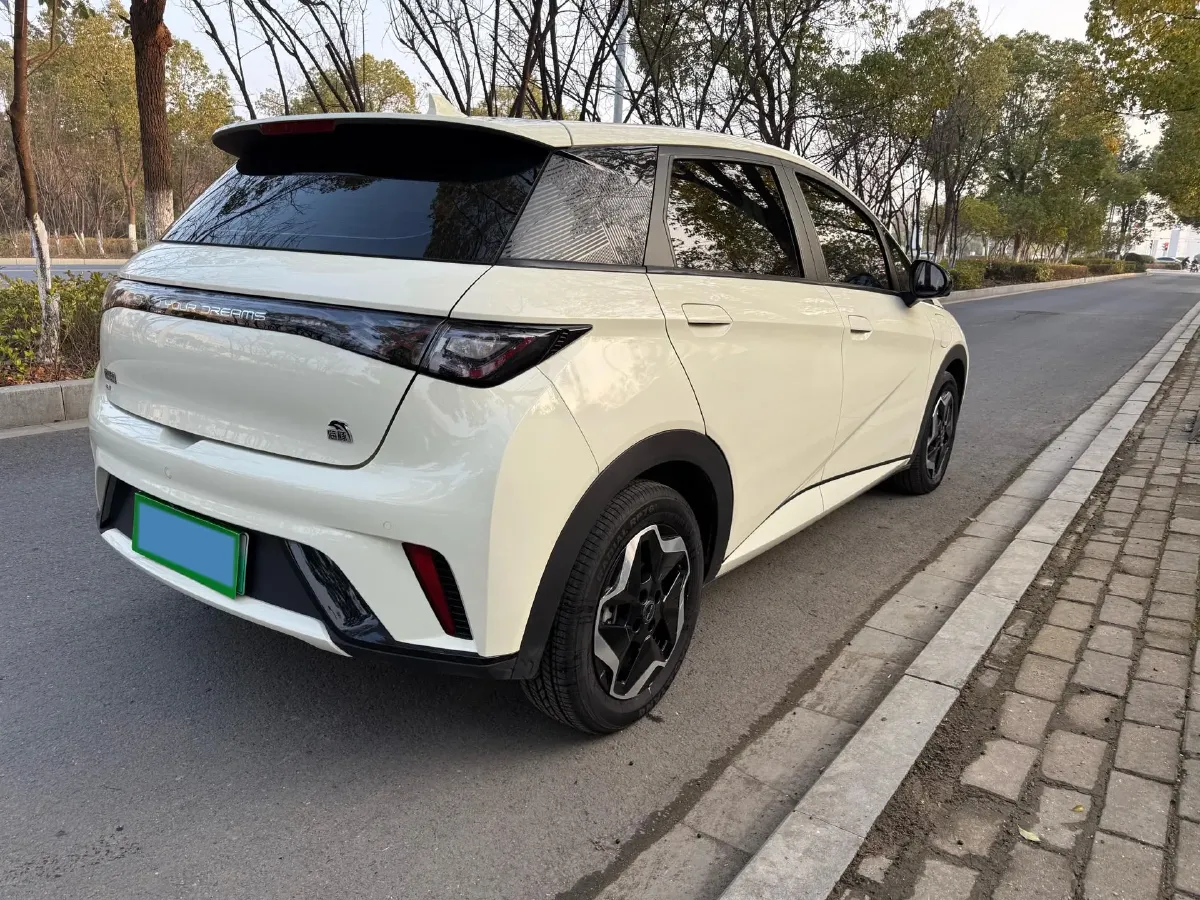 2021 BYD Yuan Pro BEV 50.1KWH,autocango,china used car exporter,china ev exporter,chinese used car exporter,chinese used ev exporter