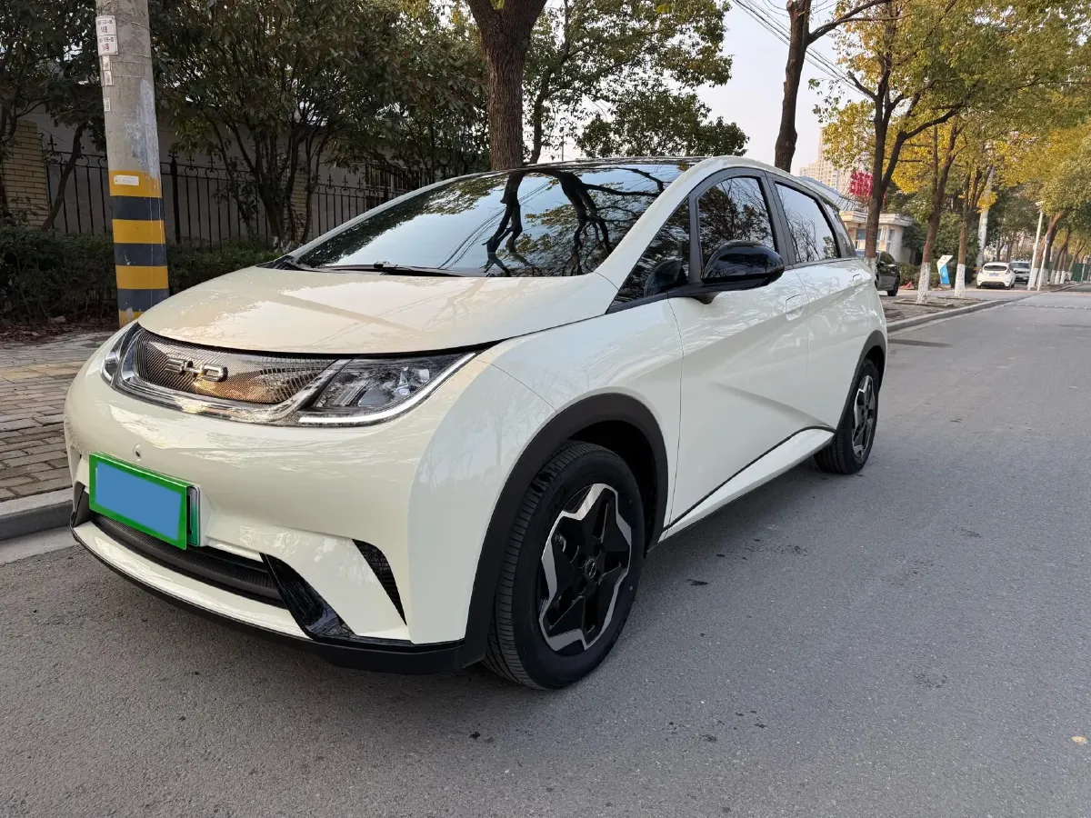 2021 BYD Yuan Pro BEV 50.1KWH,autocango,china used car exporter,china ev exporter,chinese used car exporter,chinese used ev exporter