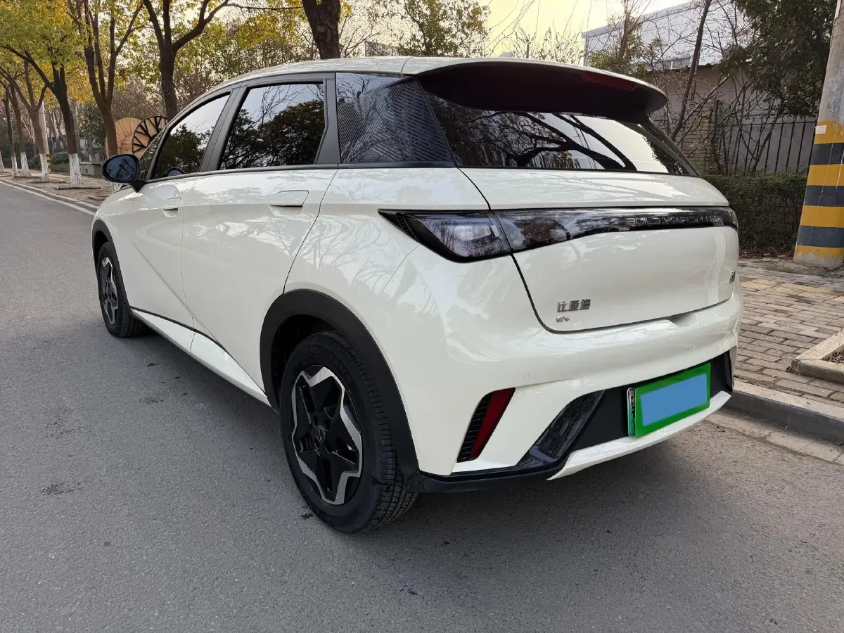 2021 BYD Yuan Pro BEV 50.1KWH,autocango,china used car exporter,china ev exporter,chinese used car exporter,chinese used ev exporter