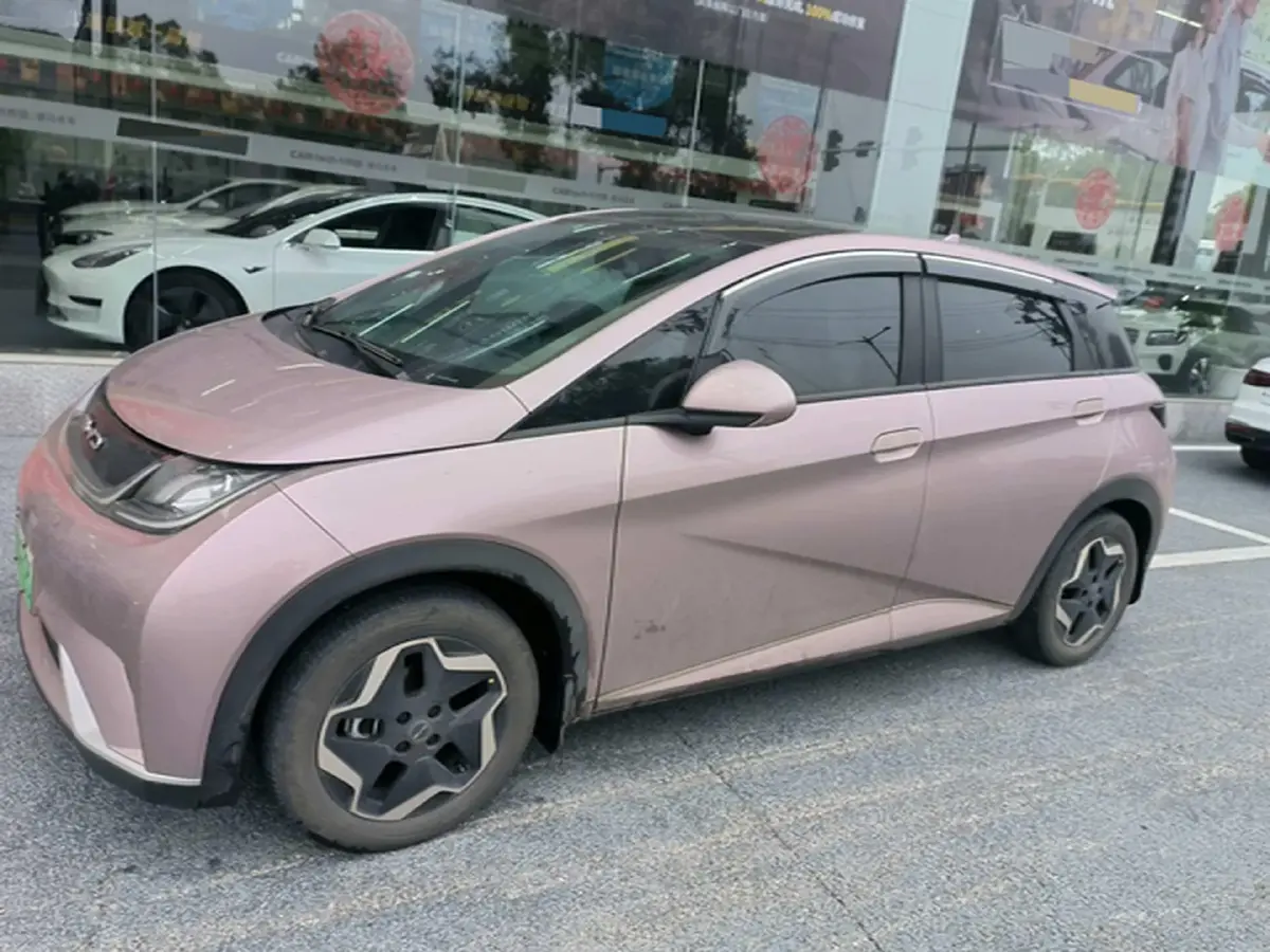 2021 BYD Yuan Pro BEV 50.1KWH