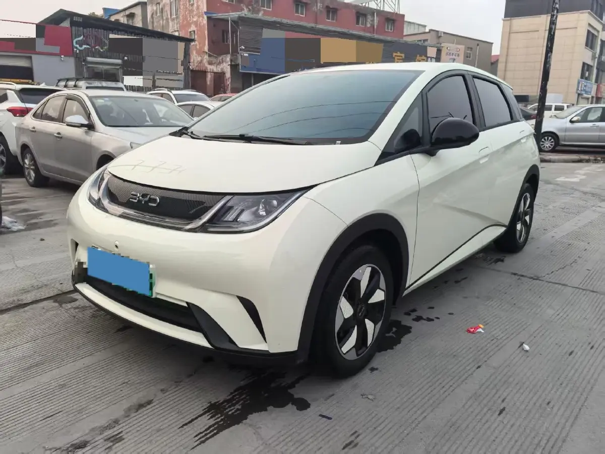 2025 BYD Dolphin BEV 44.928KWH