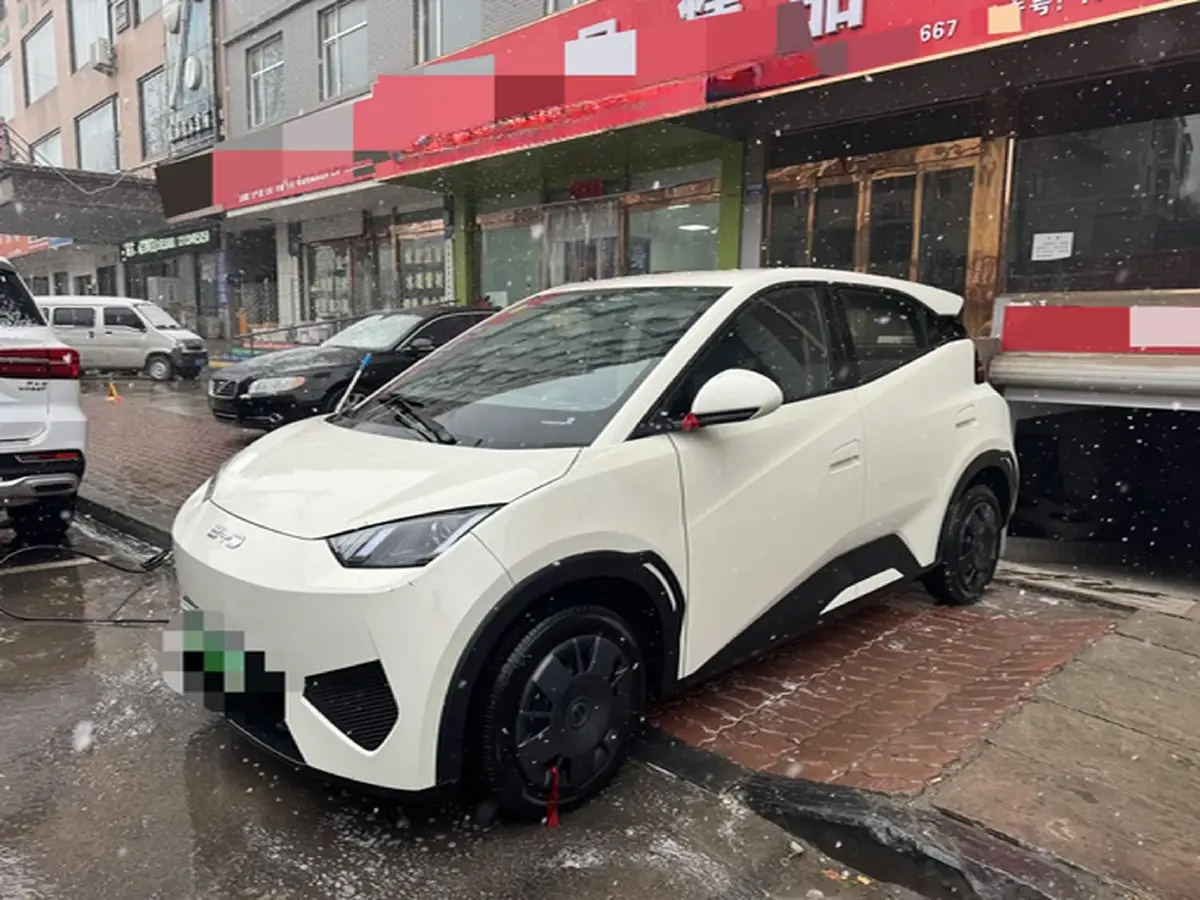 2025 BYD Seagull BEV 30.08KWH