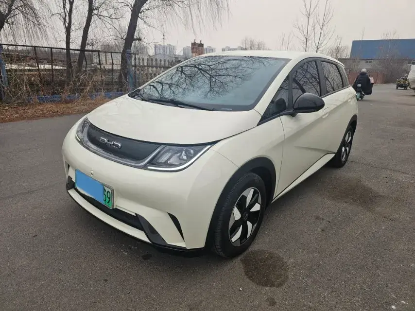 2025 BYD Dolphin BEV 44.928KWH
