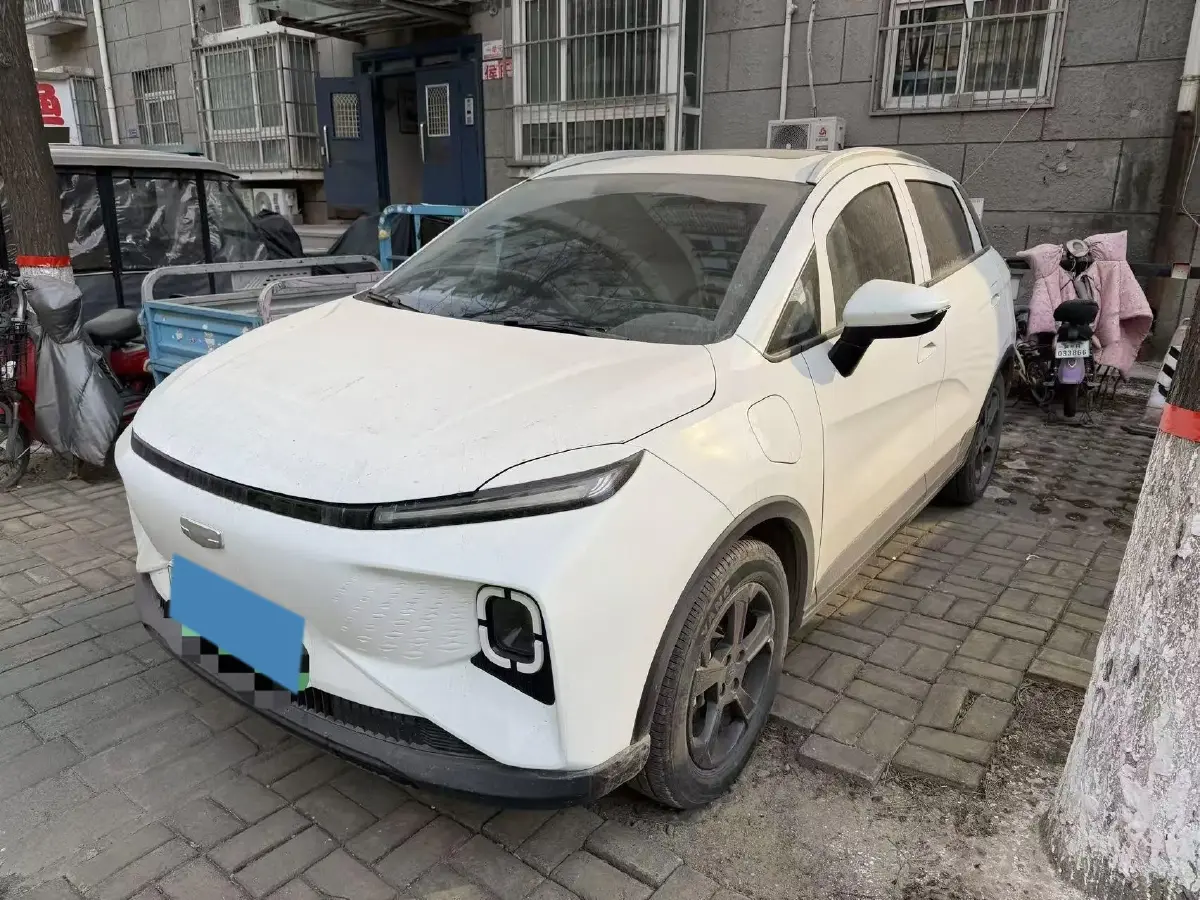 2024 Geometry E BEV 29.67KWH