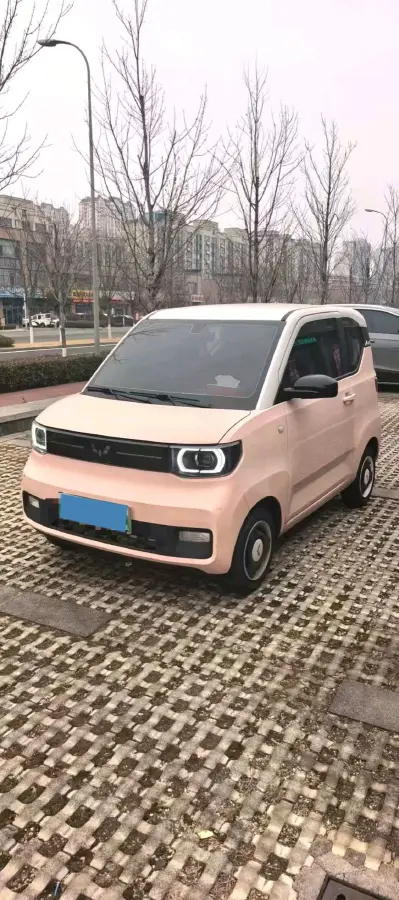2020 WuLing HongGuang MINI EV BEV 13.8KWH