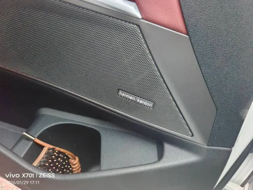 2021 BMW 3 Series 2.0T 184HP L4 8AT,autocango,china used car exporter,china ev exporter,chinese used car exporter,chinese used ev exporter