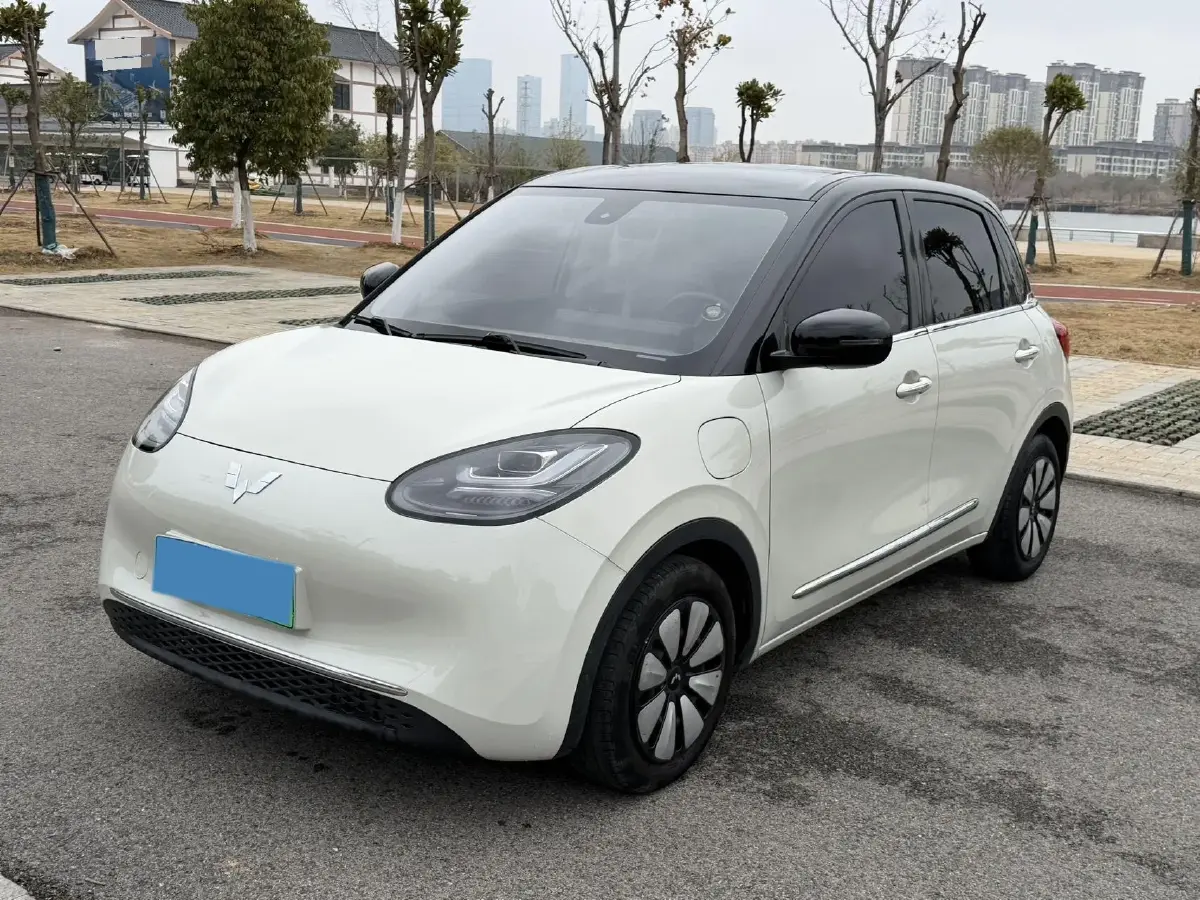 2023 WuLing BinGuo BEV 31.9KWH