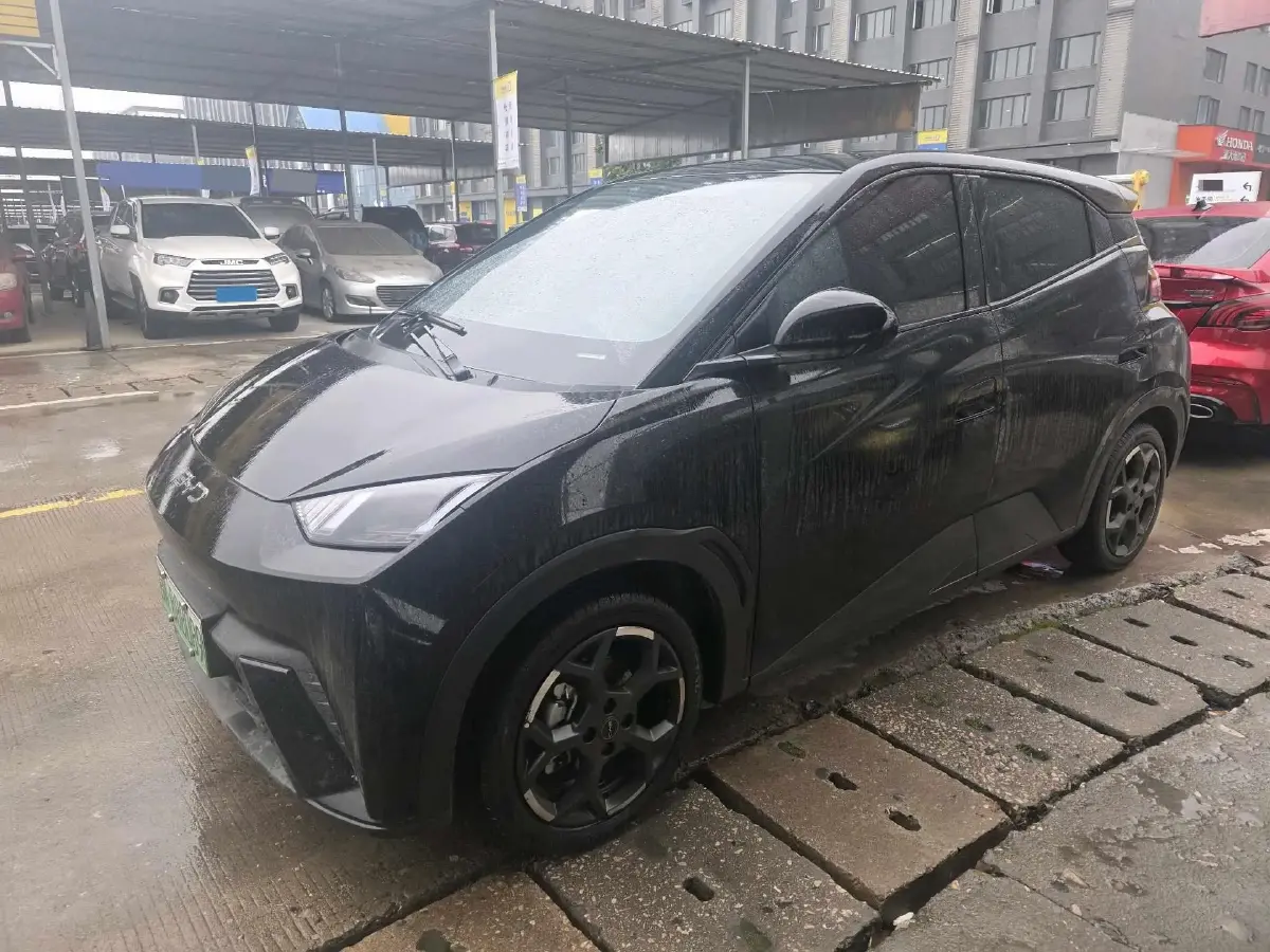 2023 BYD Seagull BEV 30.08KWH