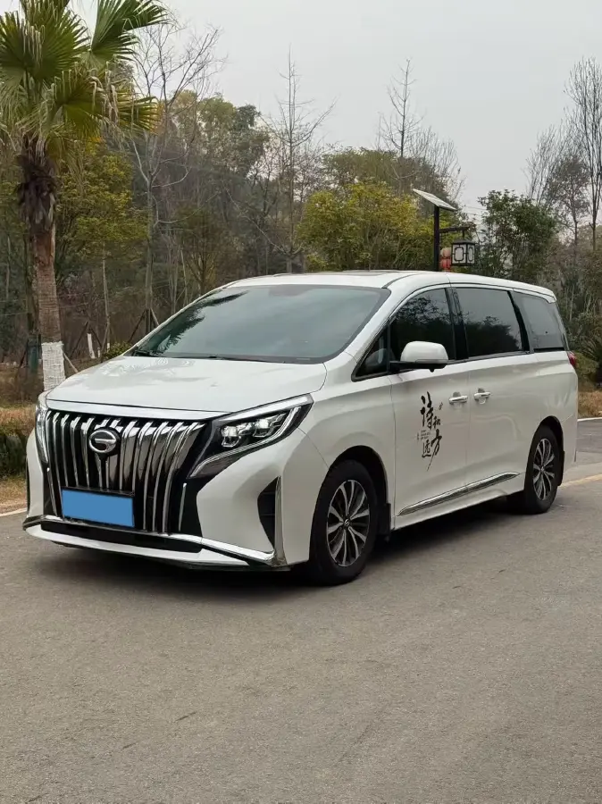 2021 GAC Trumpchi M8 2.0T 252HP L4 8AT