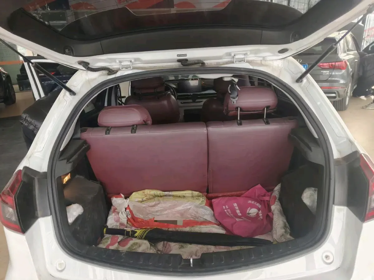 2021 WuLing Nano EV BEV 28KWH,autocango,china used car exporter,china ev exporter,chinese used car exporter,chinese used ev exporter