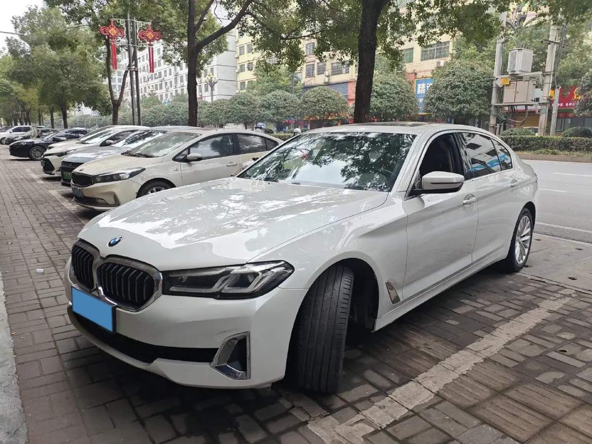 2021 BMW 5 Series 2.0T 184HP L4 8AT