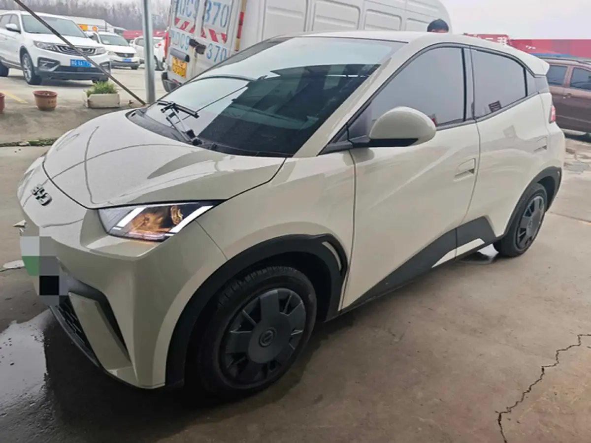 2025 BYD Seagull BEV 30.08KWH