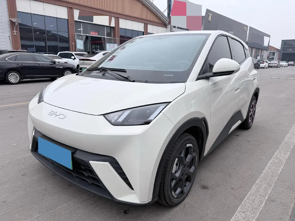 2025 BYD Seagull BEV 30.08KWH