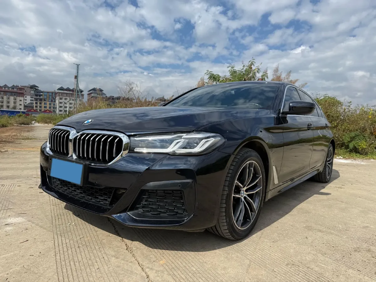 2022 BMW 5 Series 2.0T 184HP L4 8AT,autocango,china used car exporter,china ev exporter,chinese used car exporter,chinese used ev exporter