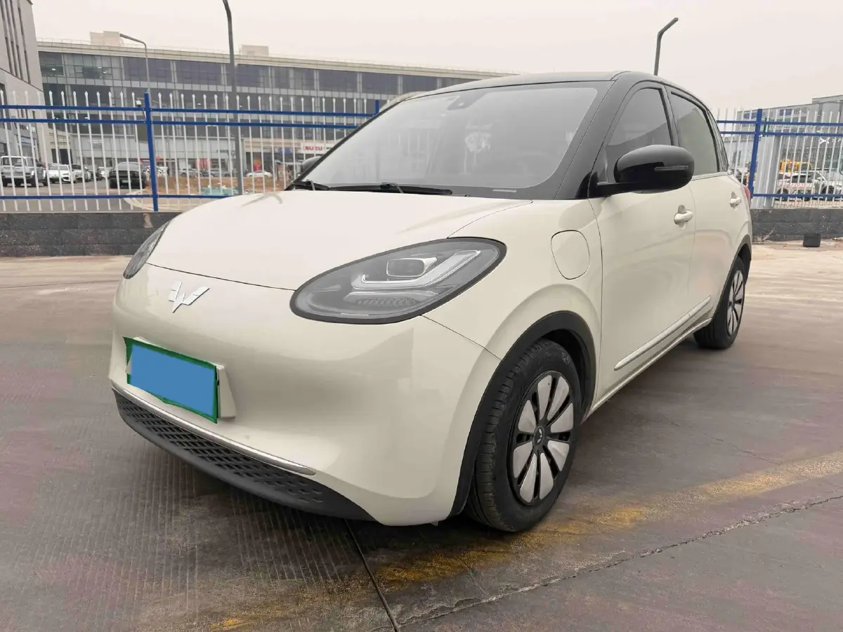 2023 WuLing BinGuo BEV 31.9KWH