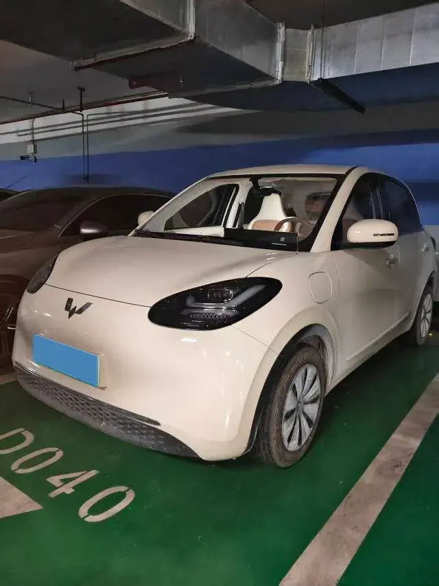 2025 WuLing BinGuo BEV