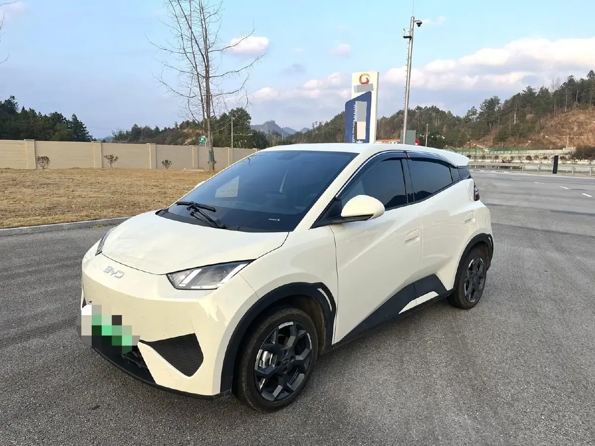 2025 BYD Seagull BEV