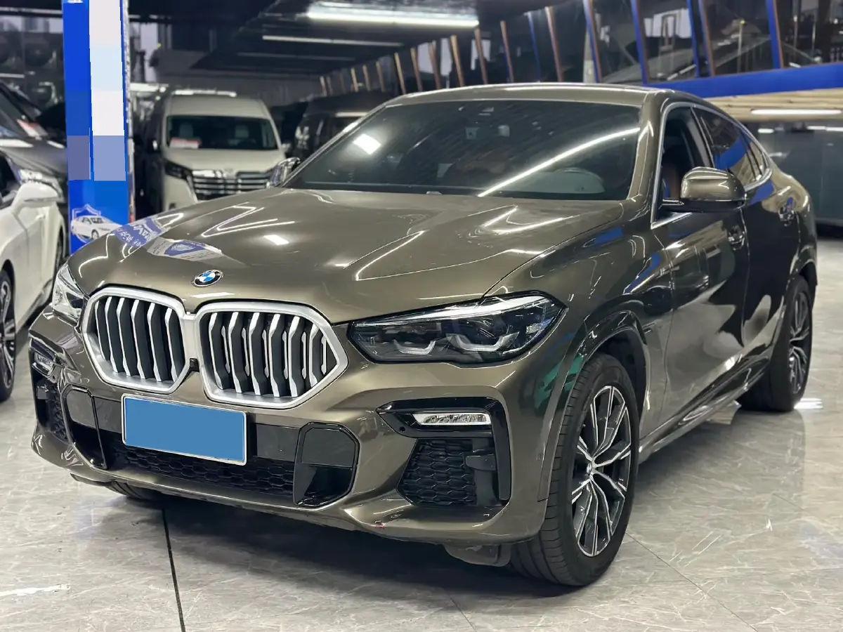 2021 BMW X6 2.0T 265HP L4 8AT