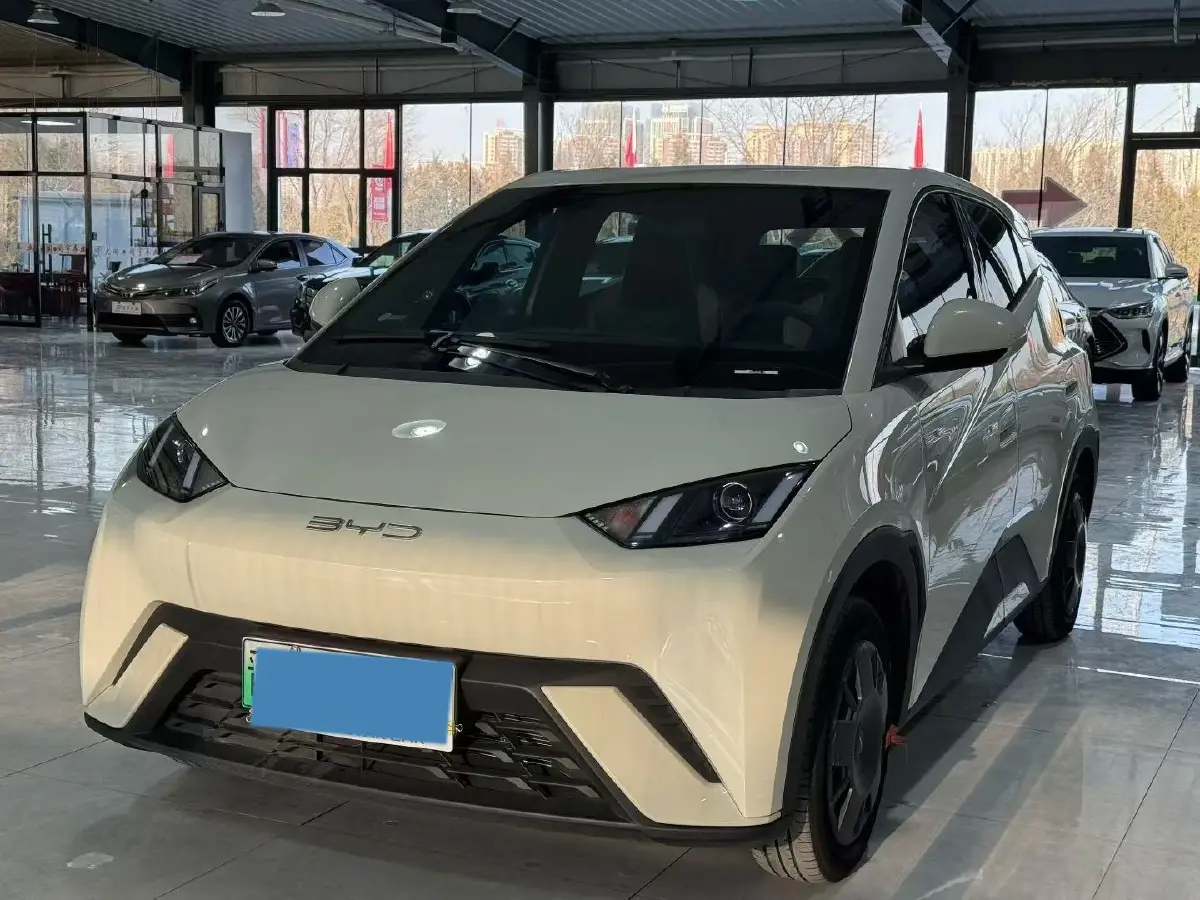 2024 BYD Seagull BEV 30.08KWH