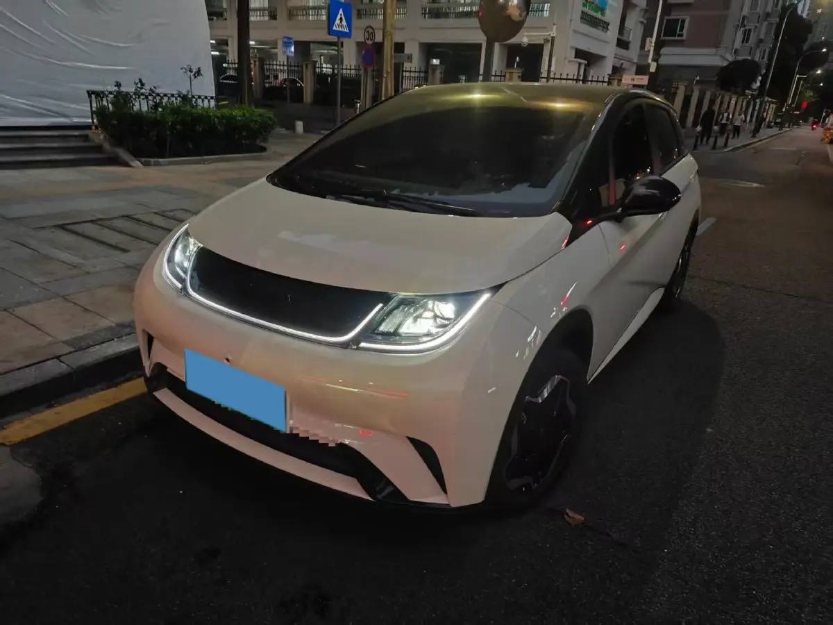 2021 BYD Yuan Pro BEV 50.1KWH