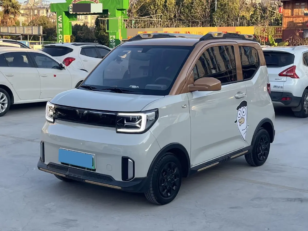 2022 Levdeo MangoPro BEV 17.28KWH