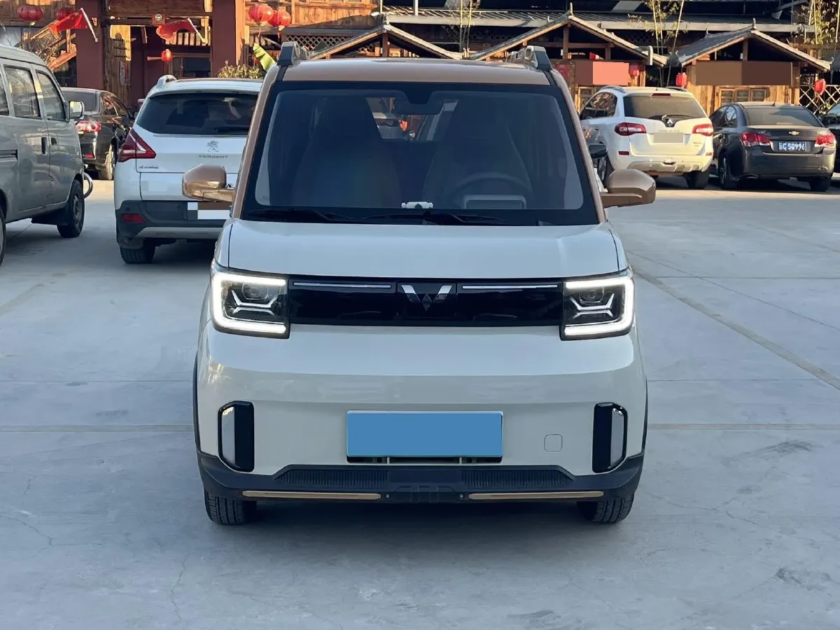 2022 Levdeo MangoPro BEV 17.28KWH,autocango,china used car exporter,china ev exporter,chinese used car exporter,chinese used ev exporter