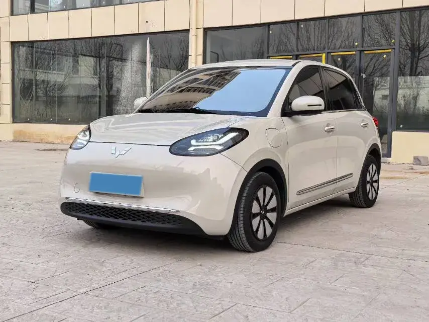 2024 WuLing BinGuo BEV 31.9KWH