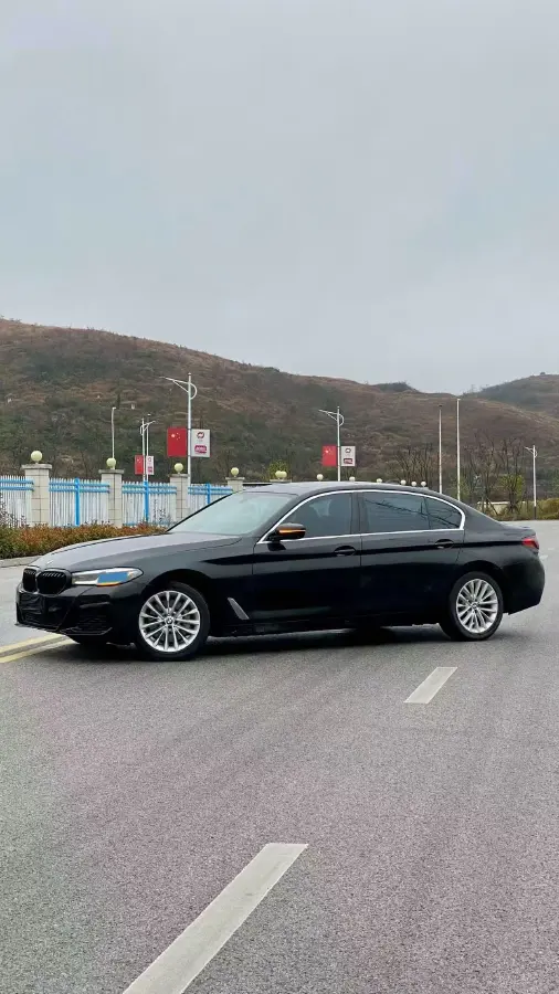 2020 BMW 5 Series 2.0T 252HP L4 8AT