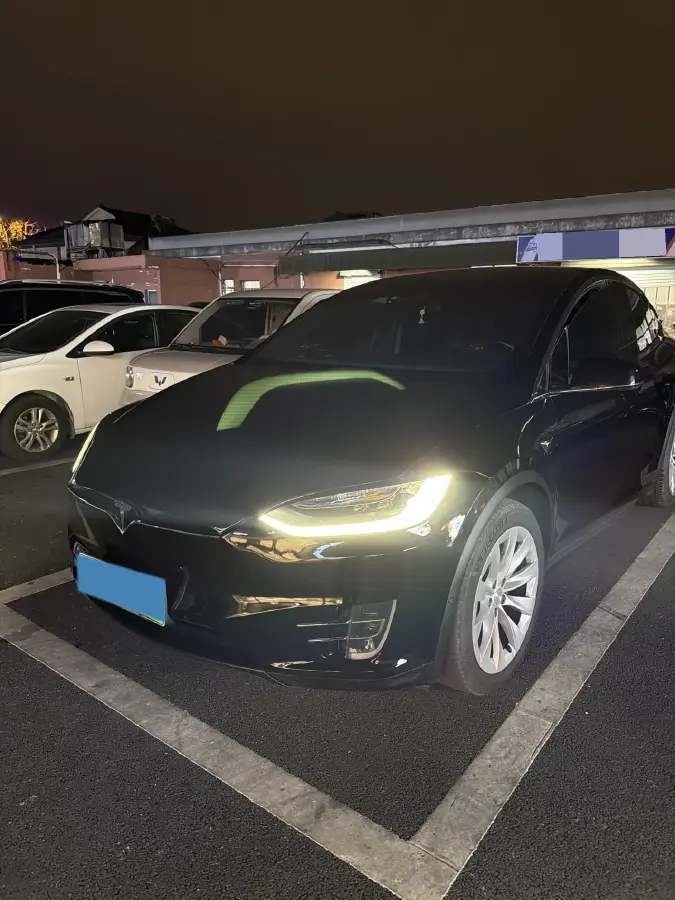 2019 Tesla Model X BEV 75KWH