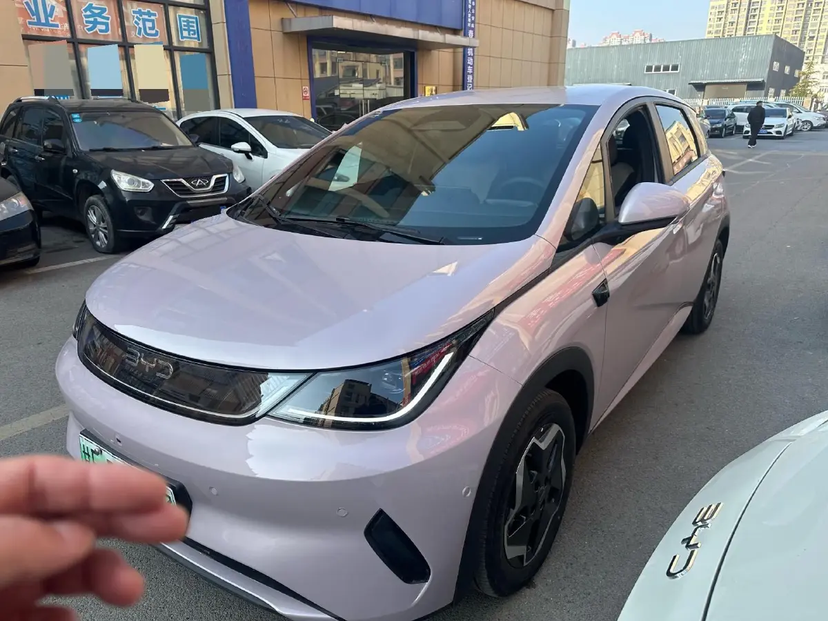 2025 BYD Dolphin BEV 44.928KWH