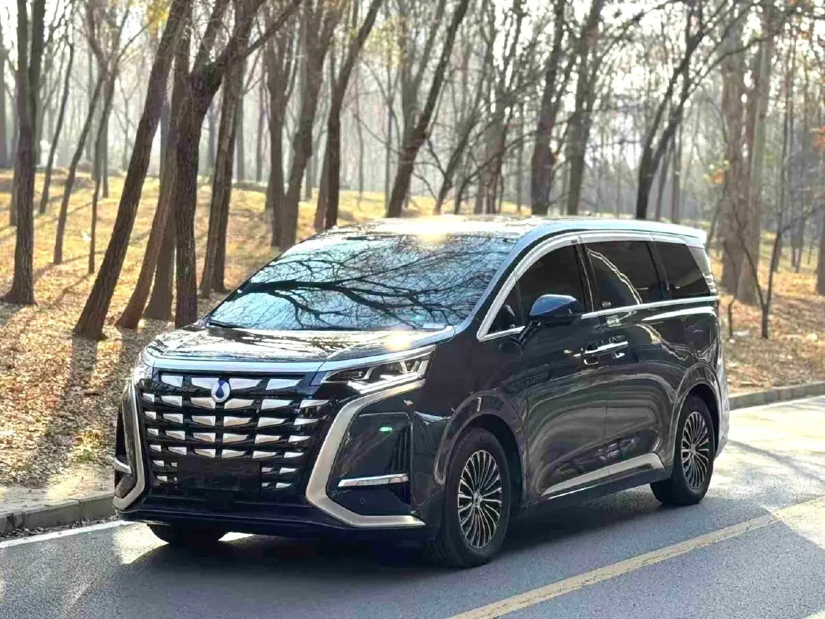 2022 HongQi HS7 3.0T 337HP V6 8AT