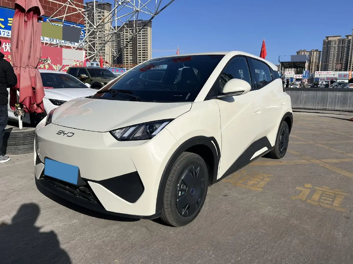 2025 BYD Seagull BEV 30.08KWH