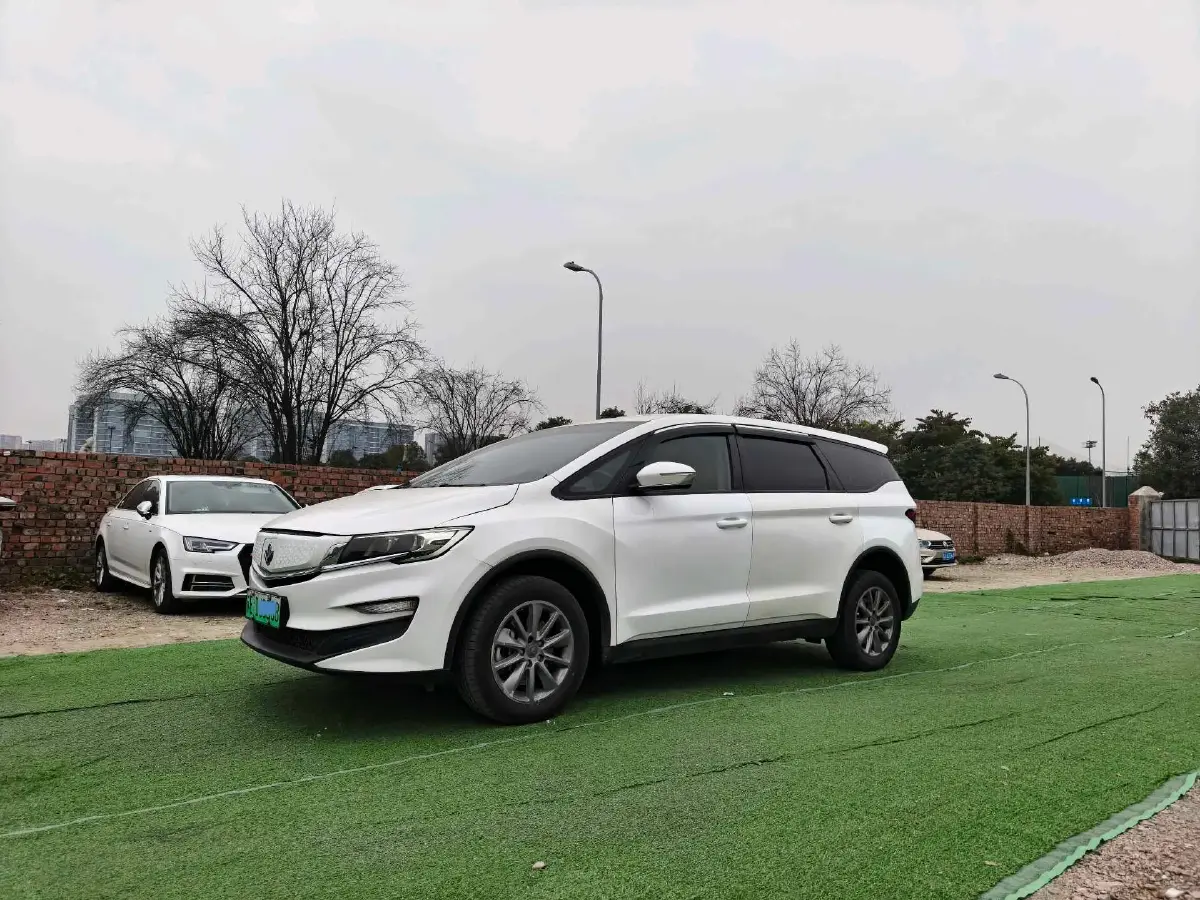 2021 Livan Maple 80v BEV 53KWH