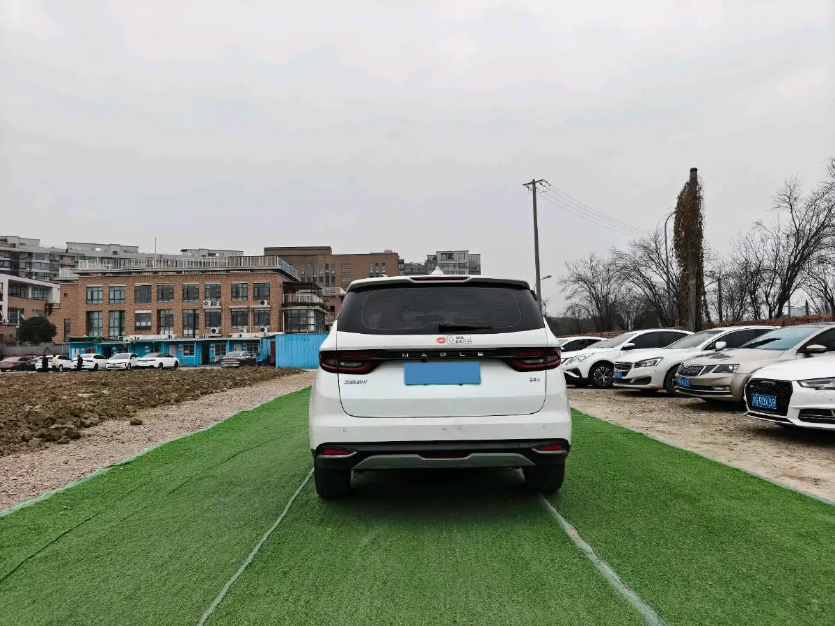 2021 Livan Maple 80v BEV 53KWH,autocango,china used car exporter,china ev exporter,chinese used car exporter,chinese used ev exporter