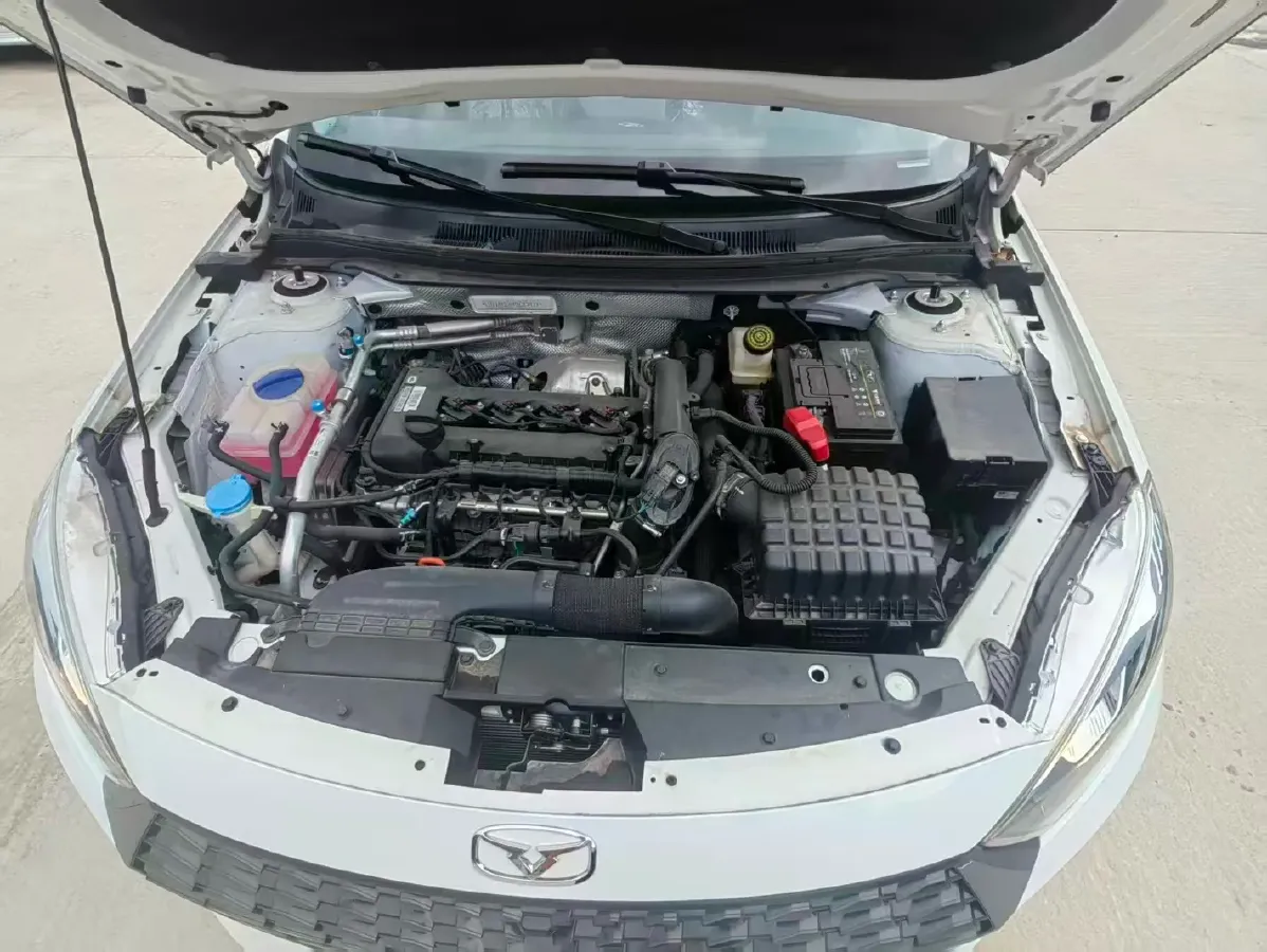 2024 JinBei Golden Sea Lion Classic 5MT,autocango,china used car exporter,china ev exporter,chinese used car exporter,chinese used ev exporter